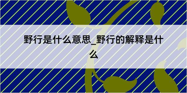 野行是什么意思_野行的解释是什么