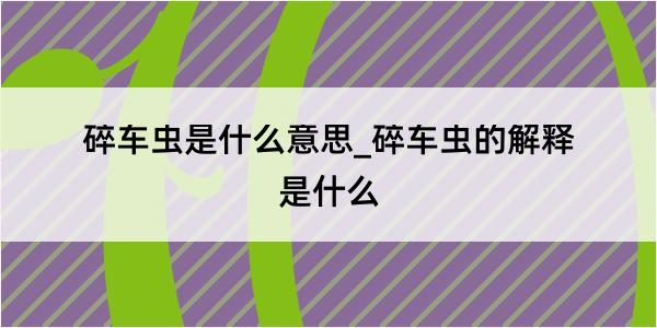 碎车虫是什么意思_碎车虫的解释是什么