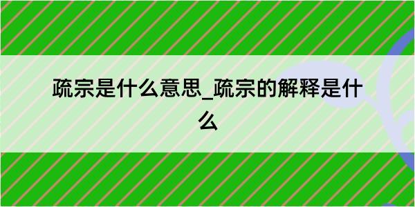 疏宗是什么意思_疏宗的解释是什么