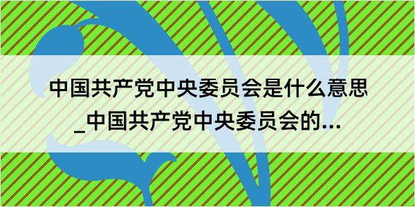 中国共产党中央委员会是什么意思_中国共产党中央委员会的解释是什么