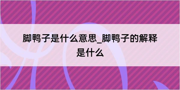 脚鸭子是什么意思_脚鸭子的解释是什么