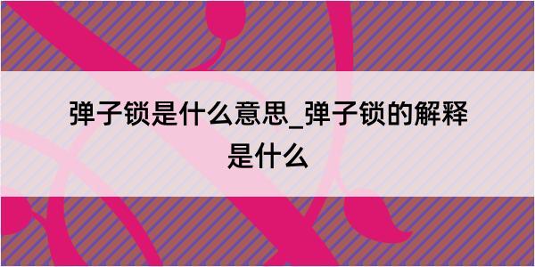 弹子锁是什么意思_弹子锁的解释是什么