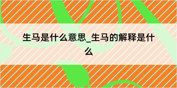 生马是什么意思_生马的解释是什么