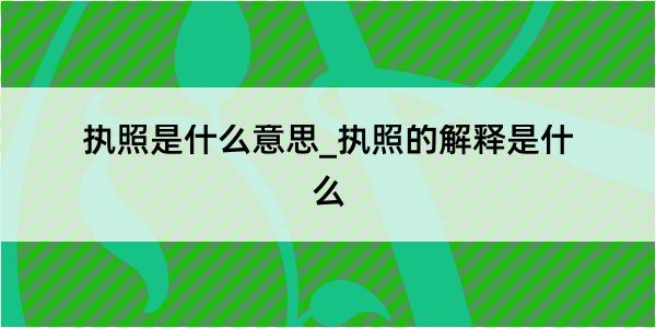 执照是什么意思_执照的解释是什么