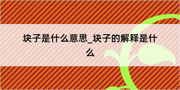 块子是什么意思_块子的解释是什么