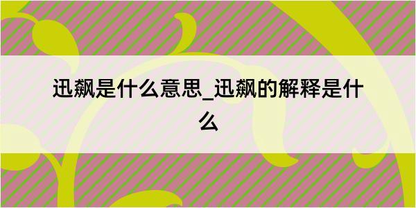 迅飙是什么意思_迅飙的解释是什么