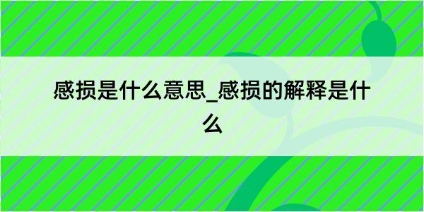 感损是什么意思_感损的解释是什么