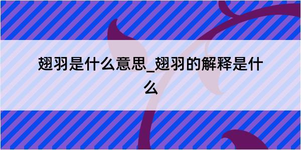 翅羽是什么意思_翅羽的解释是什么