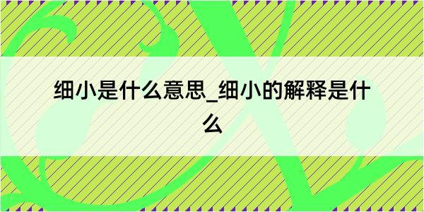 细小是什么意思_细小的解释是什么