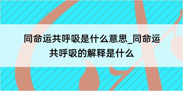 同命运共呼吸是什么意思_同命运共呼吸的解释是什么