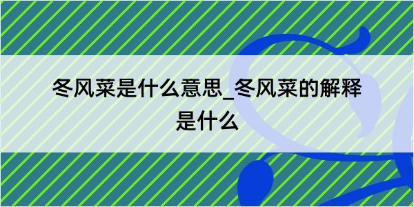 冬风菜是什么意思_冬风菜的解释是什么