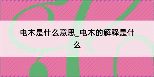 电木是什么意思_电木的解释是什么