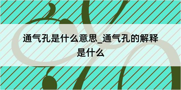 通气孔是什么意思_通气孔的解释是什么