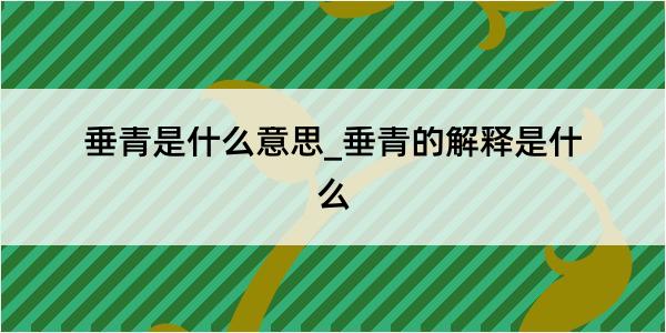 垂青是什么意思_垂青的解释是什么