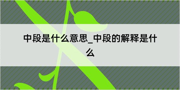 中段是什么意思_中段的解释是什么