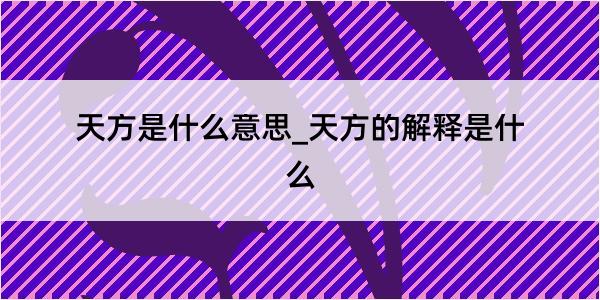 天方是什么意思_天方的解释是什么