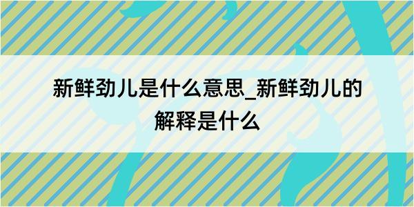 新鲜劲儿是什么意思_新鲜劲儿的解释是什么