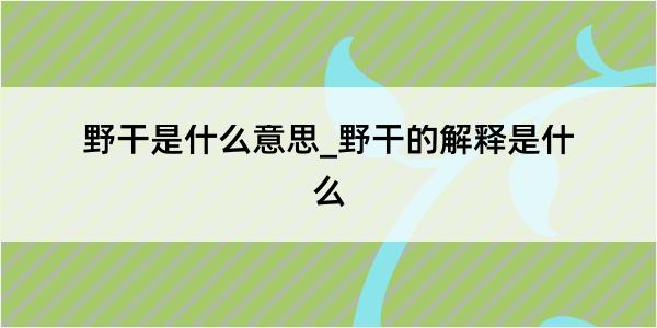 野干是什么意思_野干的解释是什么