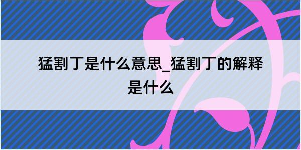 猛割丁是什么意思_猛割丁的解释是什么