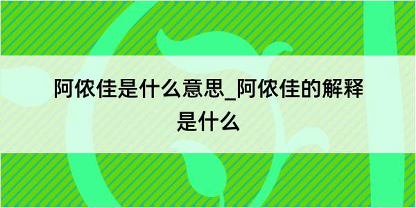 阿侬佳是什么意思_阿侬佳的解释是什么