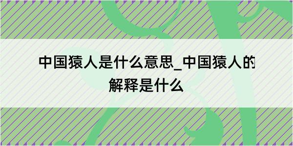 中国猿人是什么意思_中国猿人的解释是什么