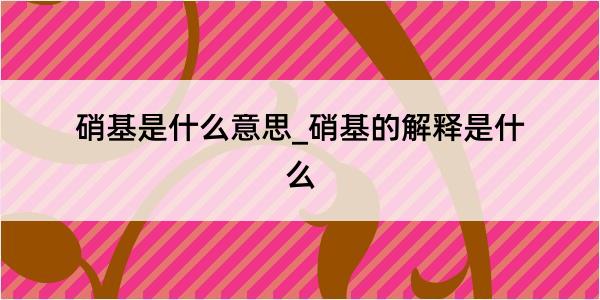 硝基是什么意思_硝基的解释是什么