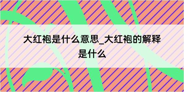 大红袍是什么意思_大红袍的解释是什么