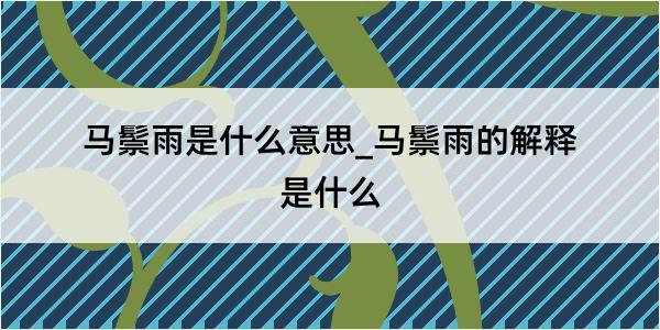 马鬃雨是什么意思_马鬃雨的解释是什么