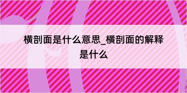 横剖面是什么意思_横剖面的解释是什么