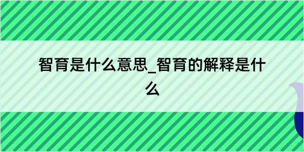 智育是什么意思_智育的解释是什么