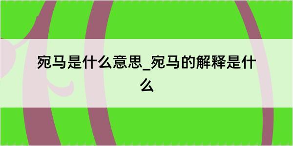 宛马是什么意思_宛马的解释是什么