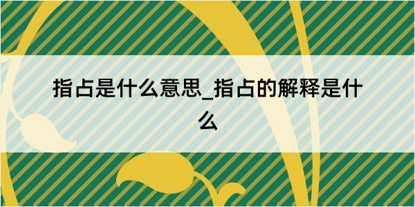 指占是什么意思_指占的解释是什么