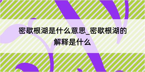 密歇根湖是什么意思_密歇根湖的解释是什么