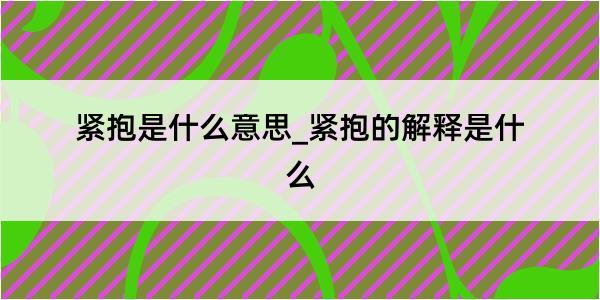 紧抱是什么意思_紧抱的解释是什么