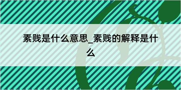 素贱是什么意思_素贱的解释是什么