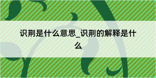 识荆是什么意思_识荆的解释是什么