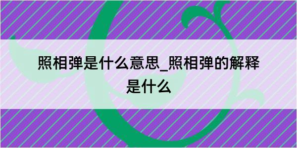 照相弹是什么意思_照相弹的解释是什么