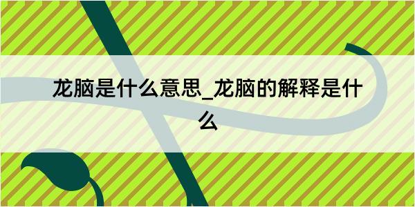 龙脑是什么意思_龙脑的解释是什么