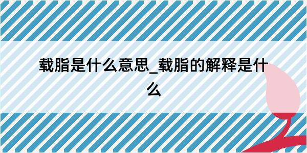 载脂是什么意思_载脂的解释是什么