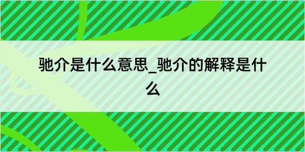 驰介是什么意思_驰介的解释是什么