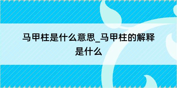 马甲柱是什么意思_马甲柱的解释是什么