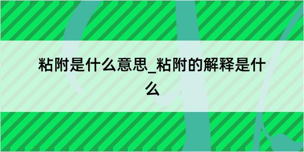 粘附是什么意思_粘附的解释是什么