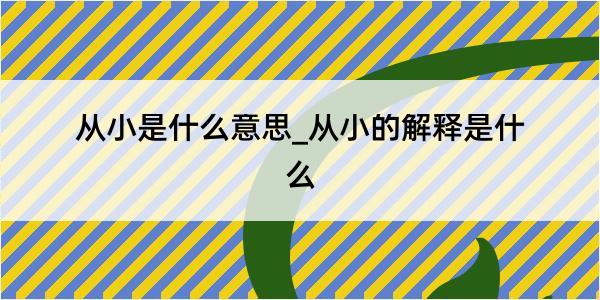 从小是什么意思_从小的解释是什么