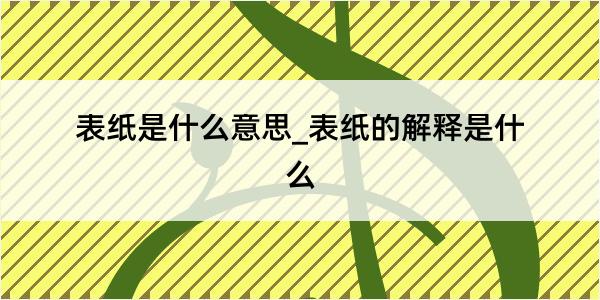 表纸是什么意思_表纸的解释是什么