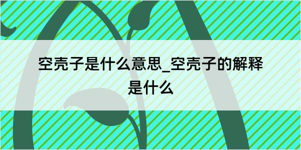 空壳子是什么意思_空壳子的解释是什么