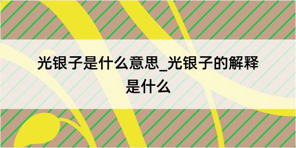 光银子是什么意思_光银子的解释是什么