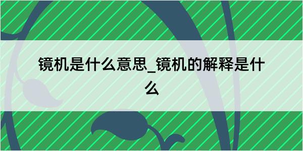 镜机是什么意思_镜机的解释是什么