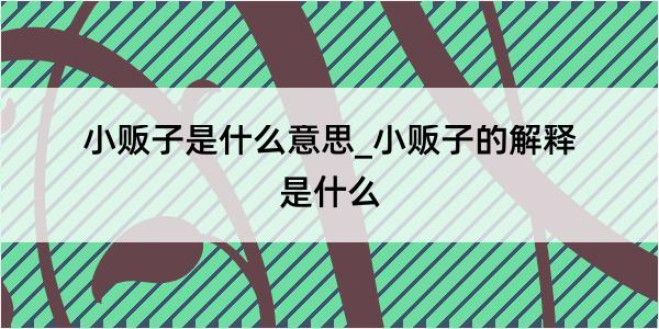 小贩子是什么意思_小贩子的解释是什么