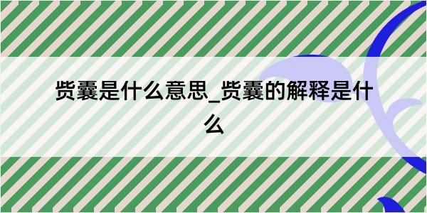 赀囊是什么意思_赀囊的解释是什么