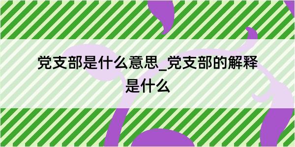 党支部是什么意思_党支部的解释是什么